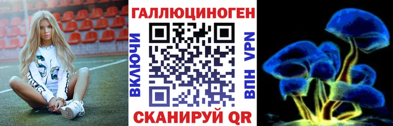 Псилоцибиновые грибы GOLDEN TEACHER  Купить  Губкинский 